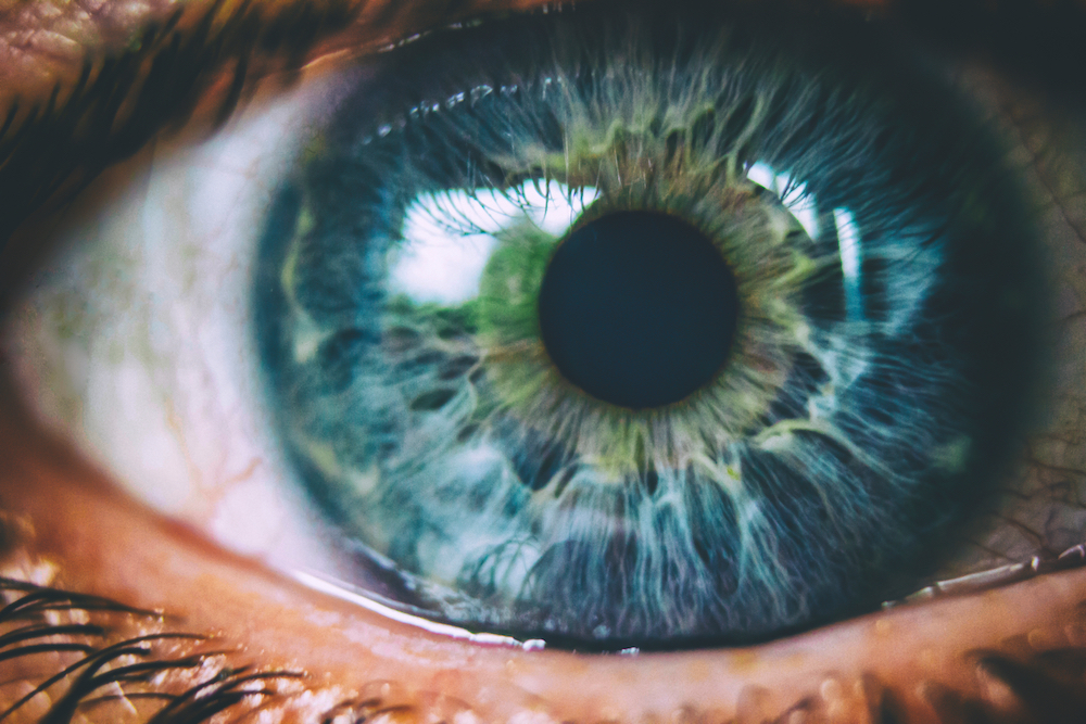 What You Need to Know About Eye Exams in Auckland, NZ
